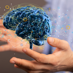 Digital brain being held in human hands
