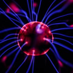 Brain development and information processing
