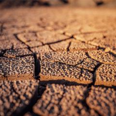 Farming systems modelling